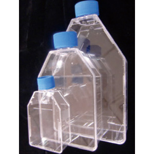 LabServ細胞培養(yǎng)瓶，25cm2透氣蓋，TC處理