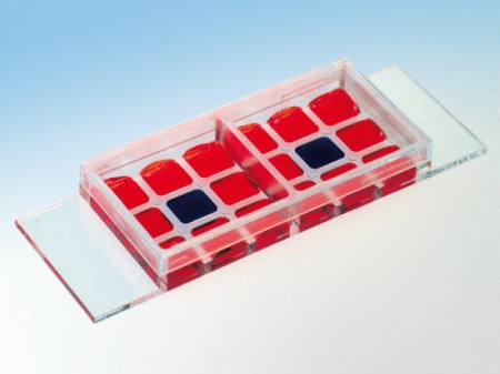 ibidi，易必迪細胞共培養(yǎng)Co-Cultivation μ-Slide 2 x 9 well