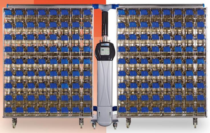 意大利Tecnplast │Blue NEXT IVC SPF級 大/小鼠 獨(dú)立通氣籠IVC