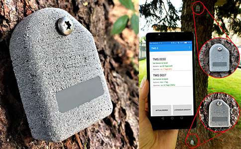 TMS 3樹木穩(wěn)定安全性測(cè)試儀