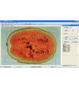 LA-S瓜果剖切面、瓤色圖像分析儀系統(tǒng)