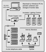 美國Trikinetics果蠅行為監(jiān)測系統(tǒng)DAM