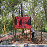 連平縣森林公園負(fù)氧離子監(jiān)測(cè)系統(tǒng) LED單色屏顯示負(fù)氧離子監(jiān)測(cè)系統(tǒng)