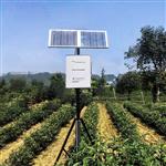 TZS-GPRS-I無線墑情監(jiān)測站 土壤墑情監(jiān)測系統(tǒng)