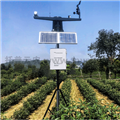 無線農(nóng)業(yè)氣象綜合監(jiān)測站NL-GPRS-I