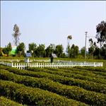 自動(dòng)氣象站設(shè)備六要素氣象局自動(dòng)氣象站觀測系統(tǒng)