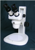 經(jīng)濟型尼康立體顯微鏡