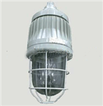 隔爆型防爆燈 ，隔爆型節(jié)能燈， 爆炸性環(huán)境防爆燈